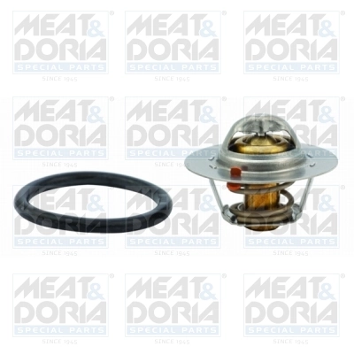 Thermostat, coolant